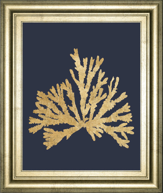 Pacific Sea Mosses IV Indigo By Wild Apple Portfolio - Framed Print Wall Art - Gold Classy Art