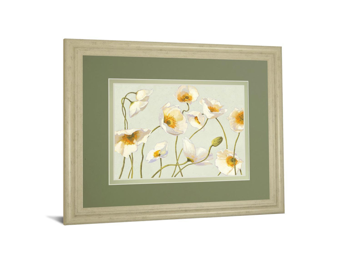 White Bright Poppies By Novak - Framed Print Wall Art - White Classy Art