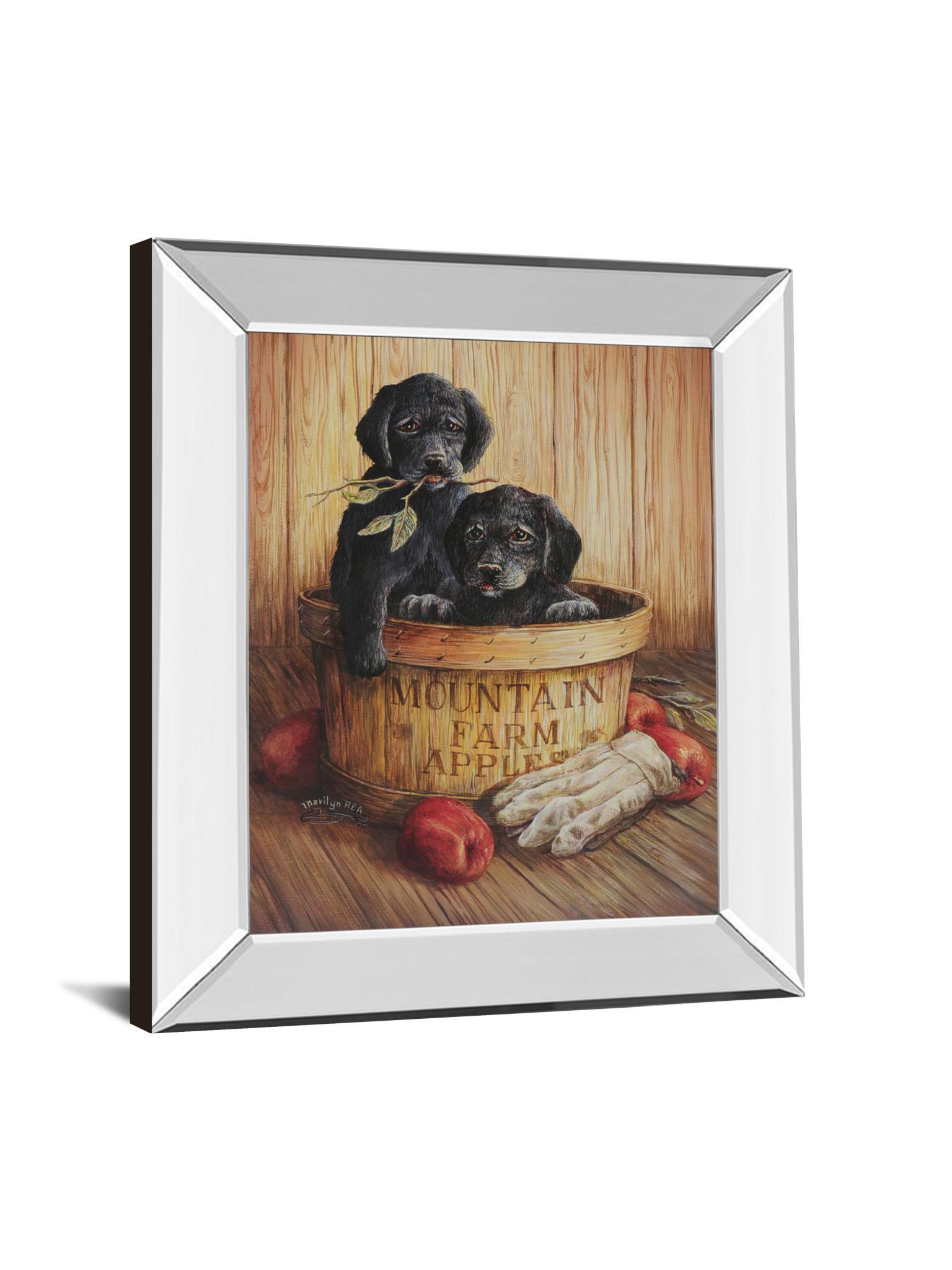 Black Labs - Mirror Framed Print Wall Art - Dark Brown Classy Art