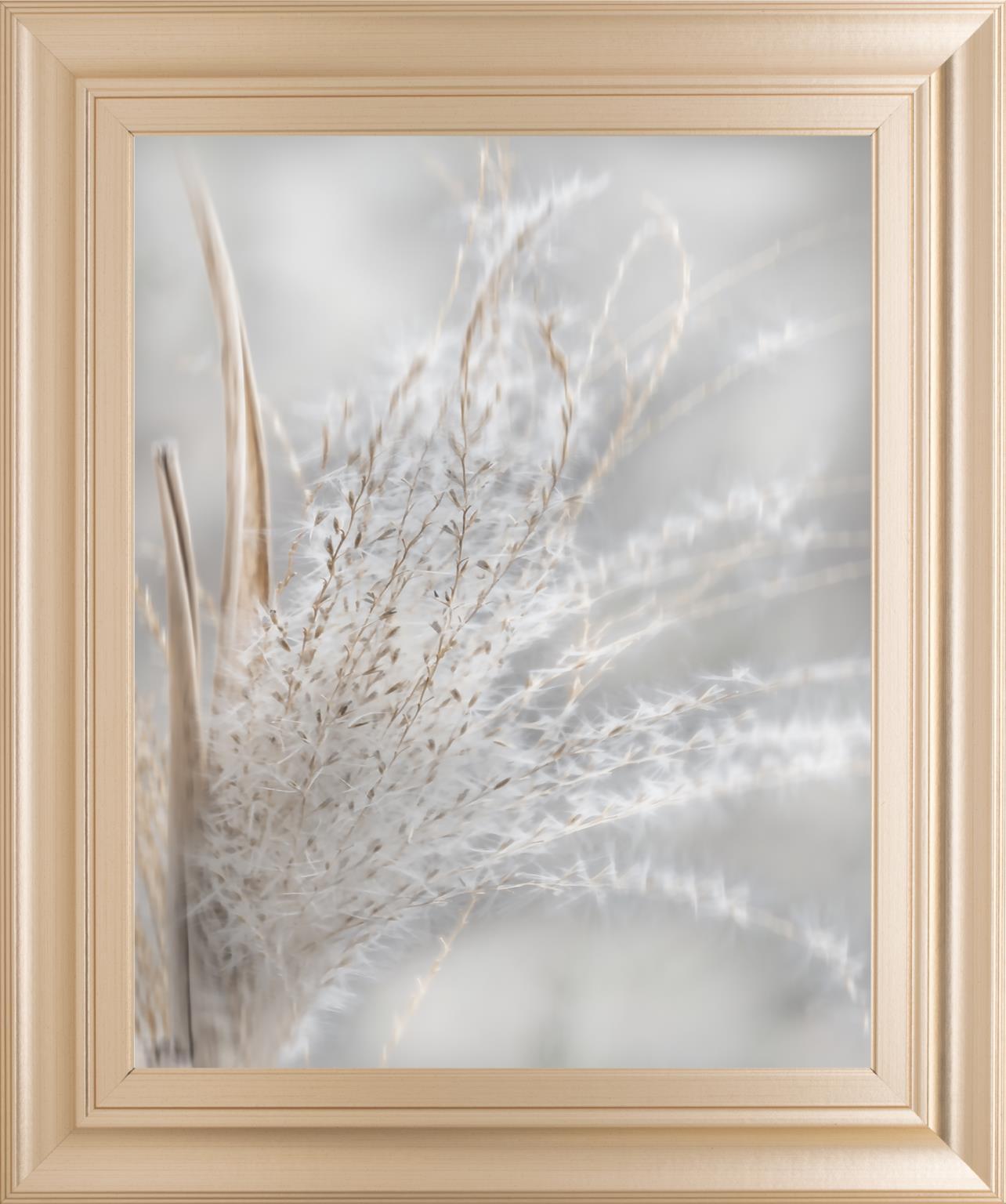 22x26 Summer Wisps I By Irene Weisz - Pearl Silver Classy Art