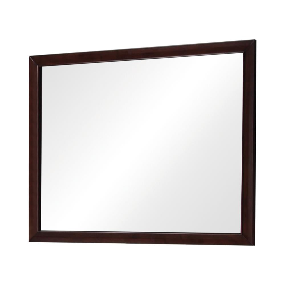 Conner Casual Cappuccino Rectangular Dresser Mirror Coaster Z2 Premium