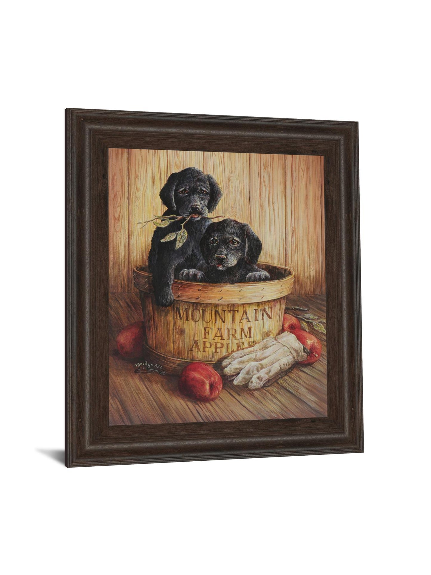 Black Labs - Framed Print Wall Art - Dark Brown Classy Art