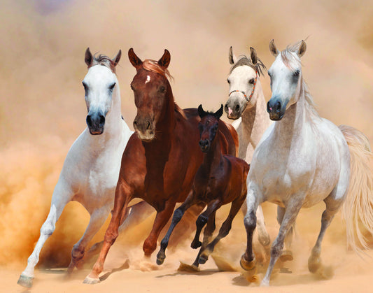 Four Horses - Light Brown Classy Art