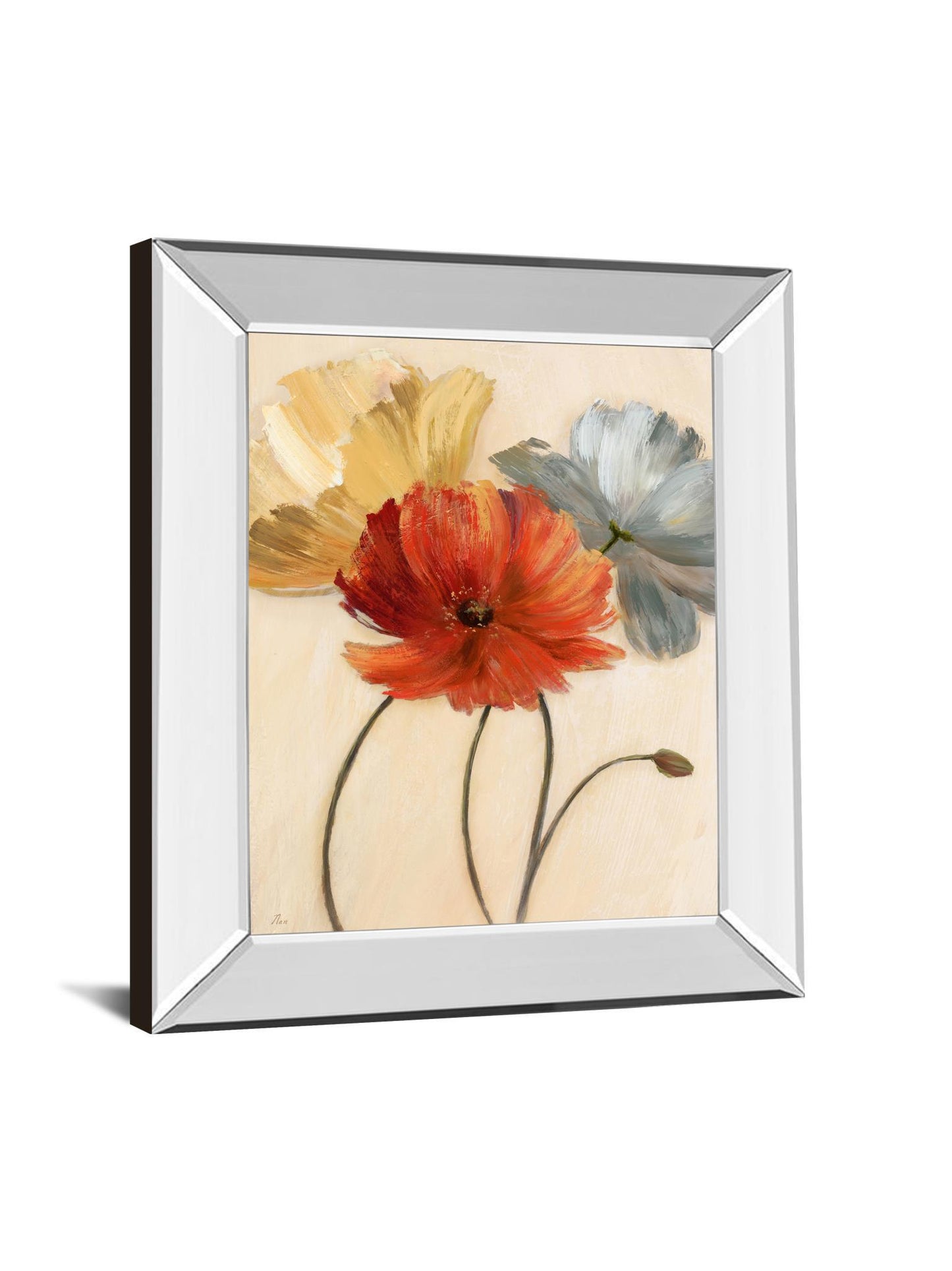 Poppy Palette I By Nan - Mirror Framed Print Wall Art - Red Classy Art