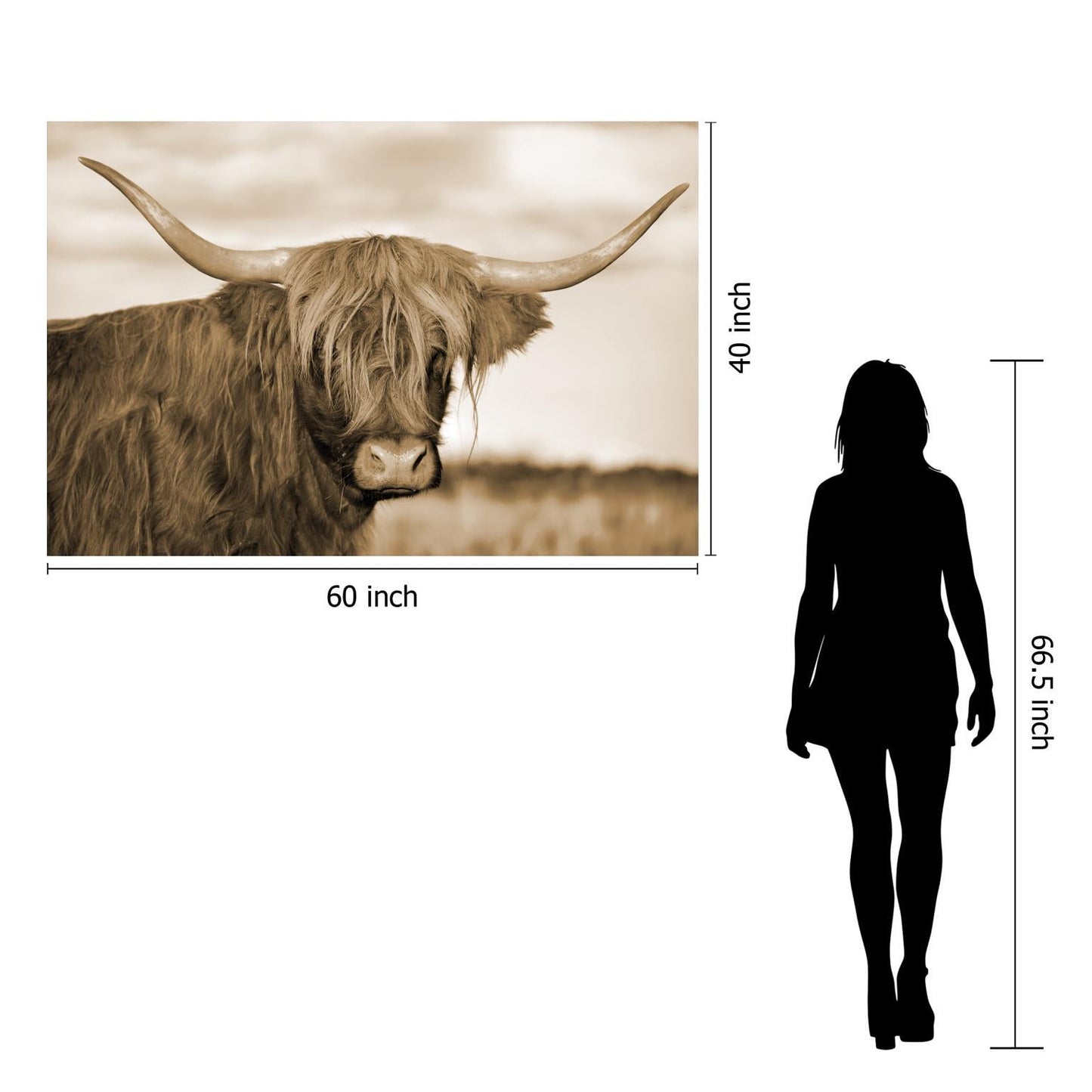 Tempered Glass With Foil - Highland Cow 1 - Light Brown Classy Art