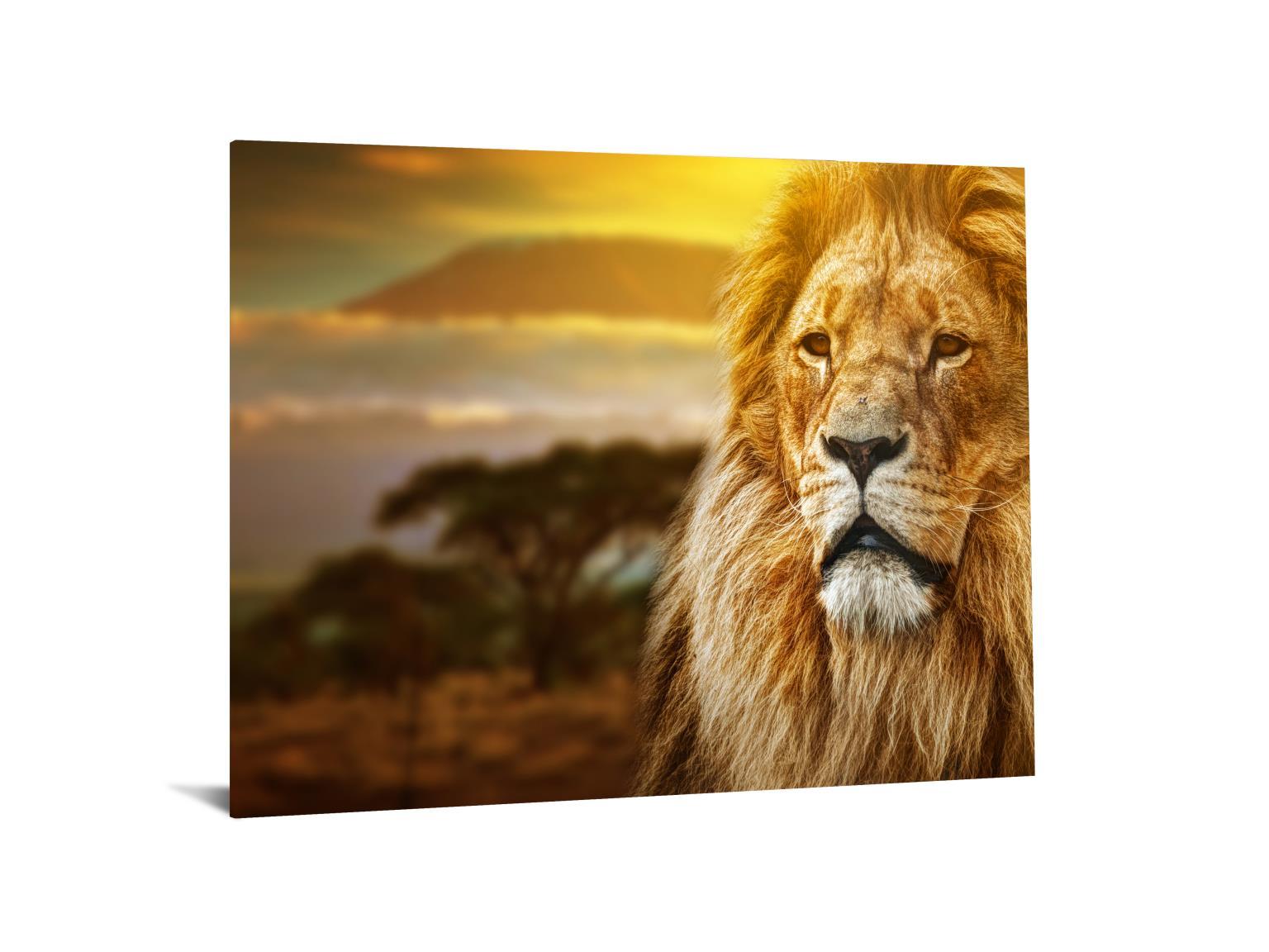 Tempered Glass With Foil - Lion Safari - Light Brown Classy Art