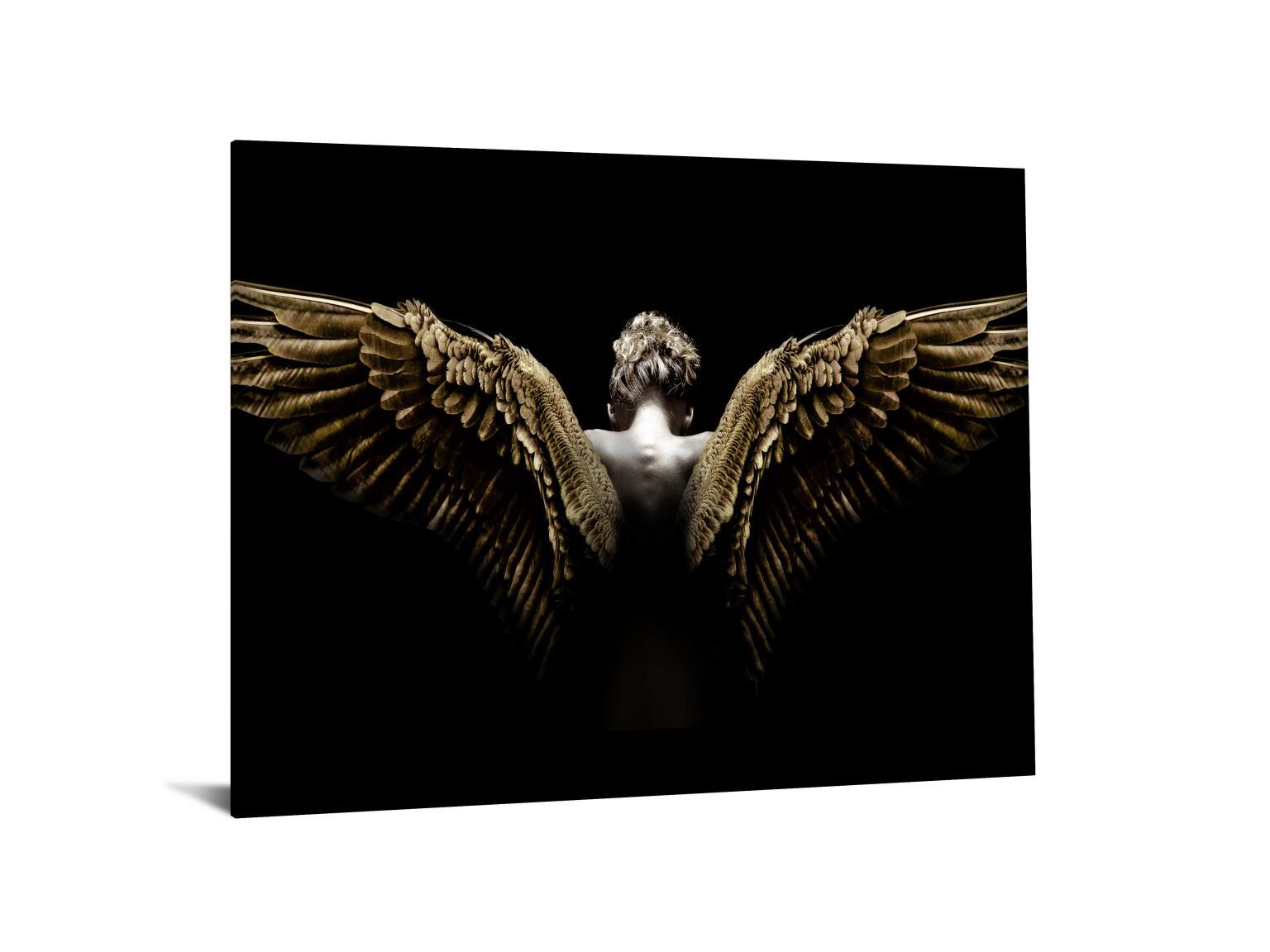 Temp Glass With Foil - Wing Spread - Black Classy Art