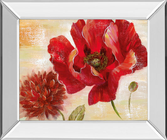 Passion For Poppies Il By Nan - Mirror Framed Print Wall Art - Red Classy Art