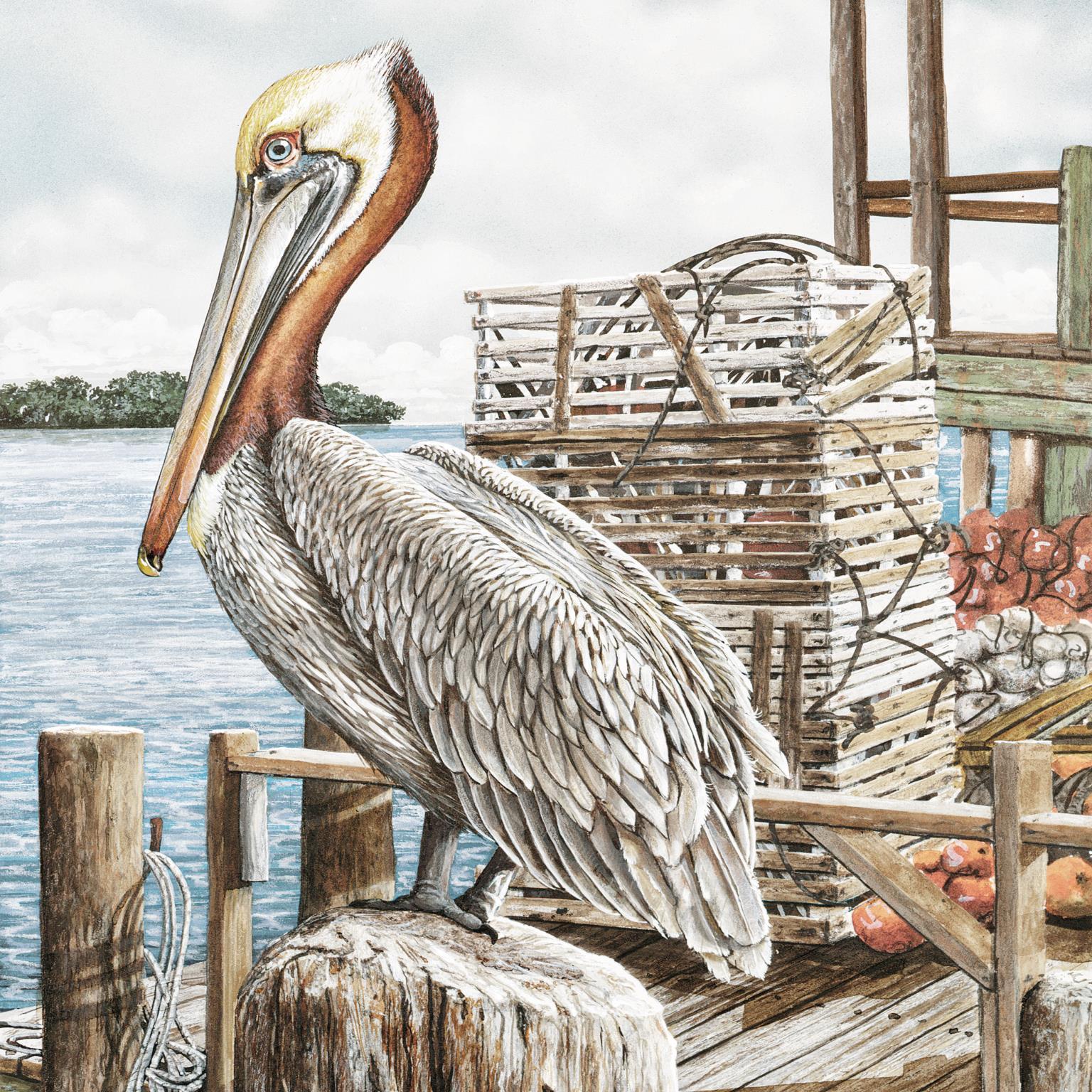 Majestic Pelican By James Harris - Light Brown Classy Art