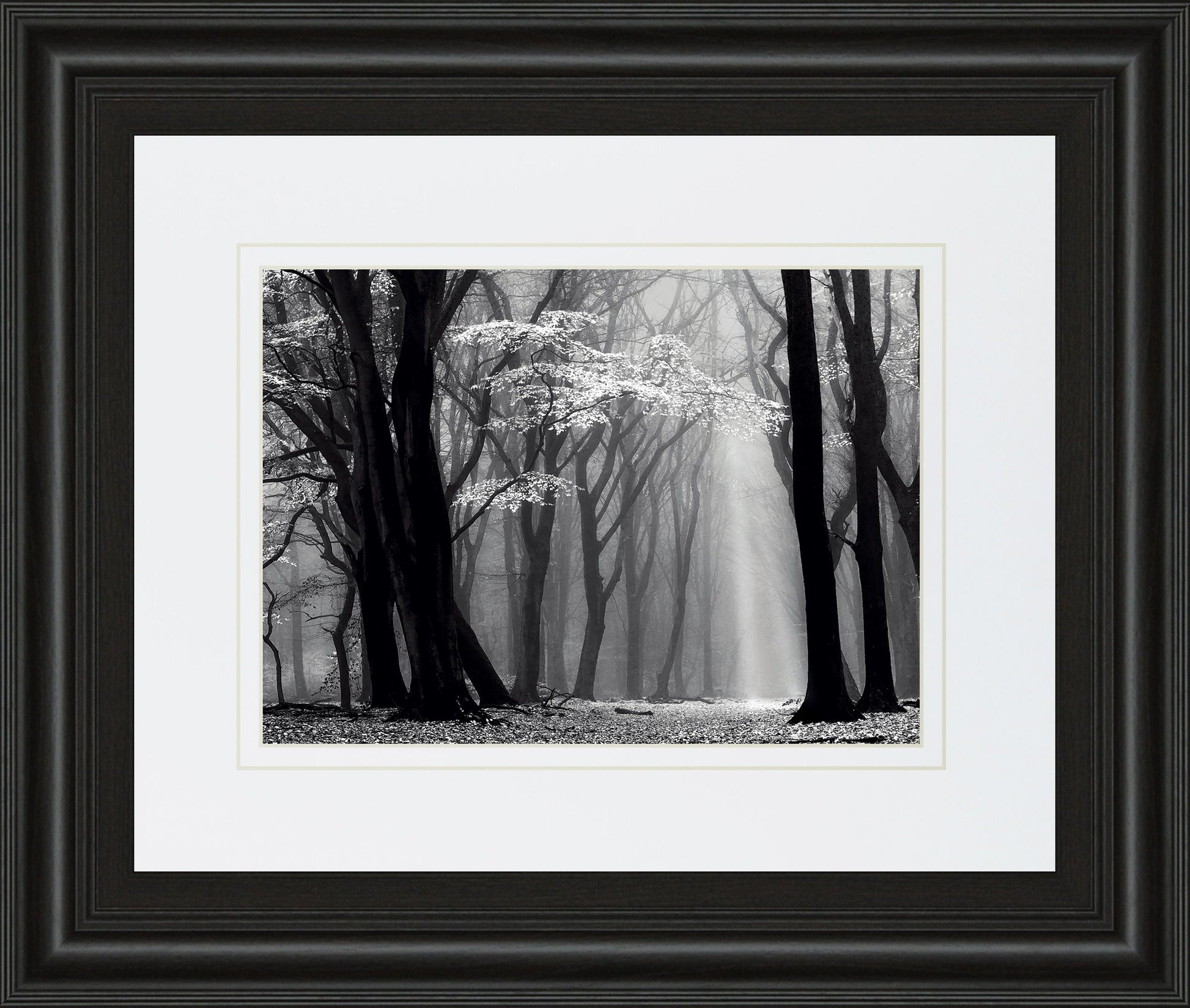 Winter Is Coming By Lars Van De Goor - Framed Print Wall Art - Black Classy Art