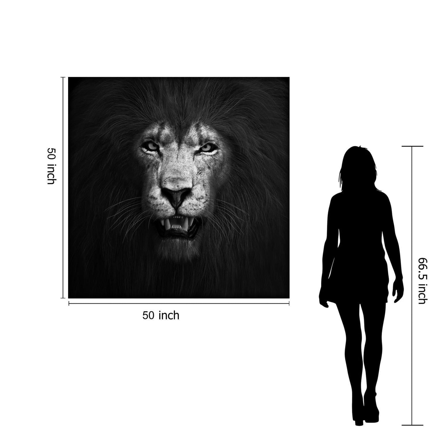 Tempered Glass With Foil - Lion B & W - Black Classy Art