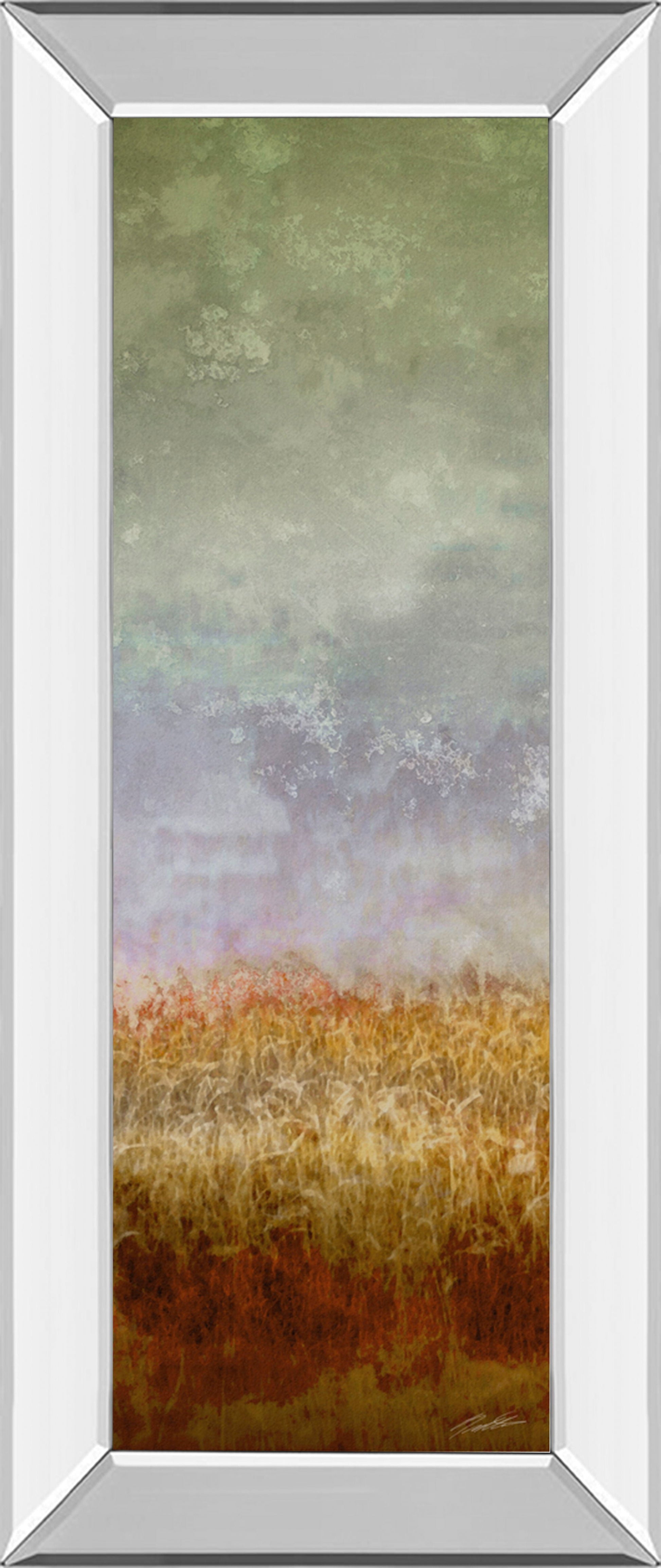 Lush Field Il By John Butler - Mirror Framed Print Wall Art - Dark Gray Classy Art