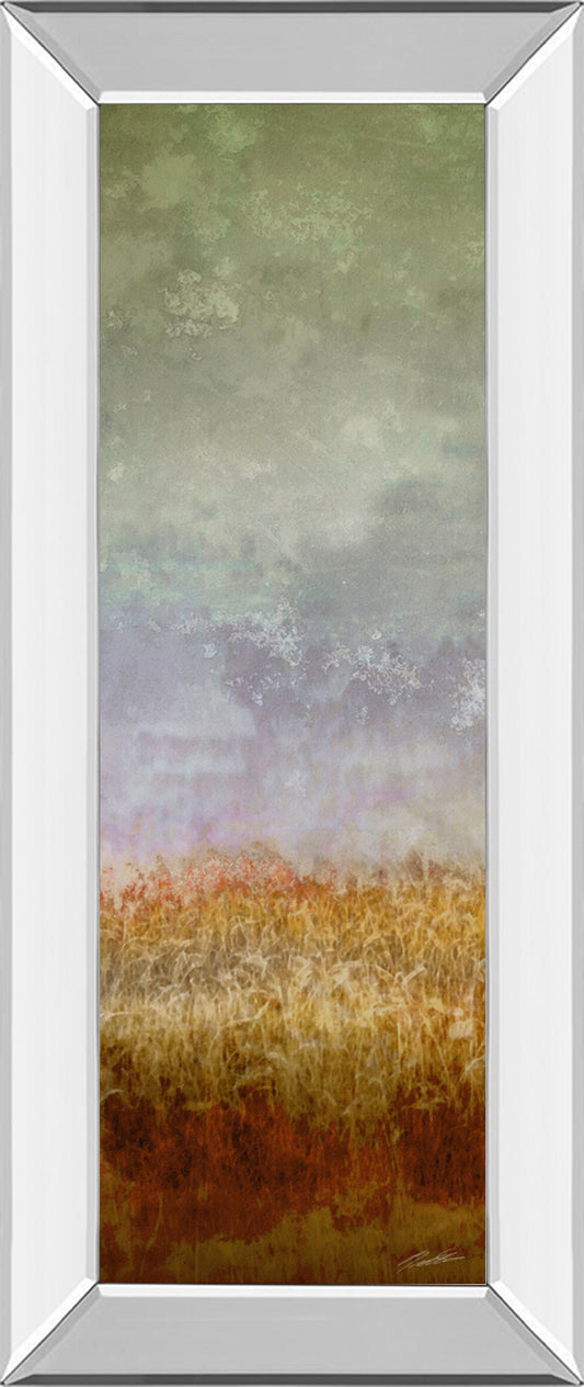 Lush Field Il By John Butler - Mirror Framed Print Wall Art - Dark Gray Classy Art