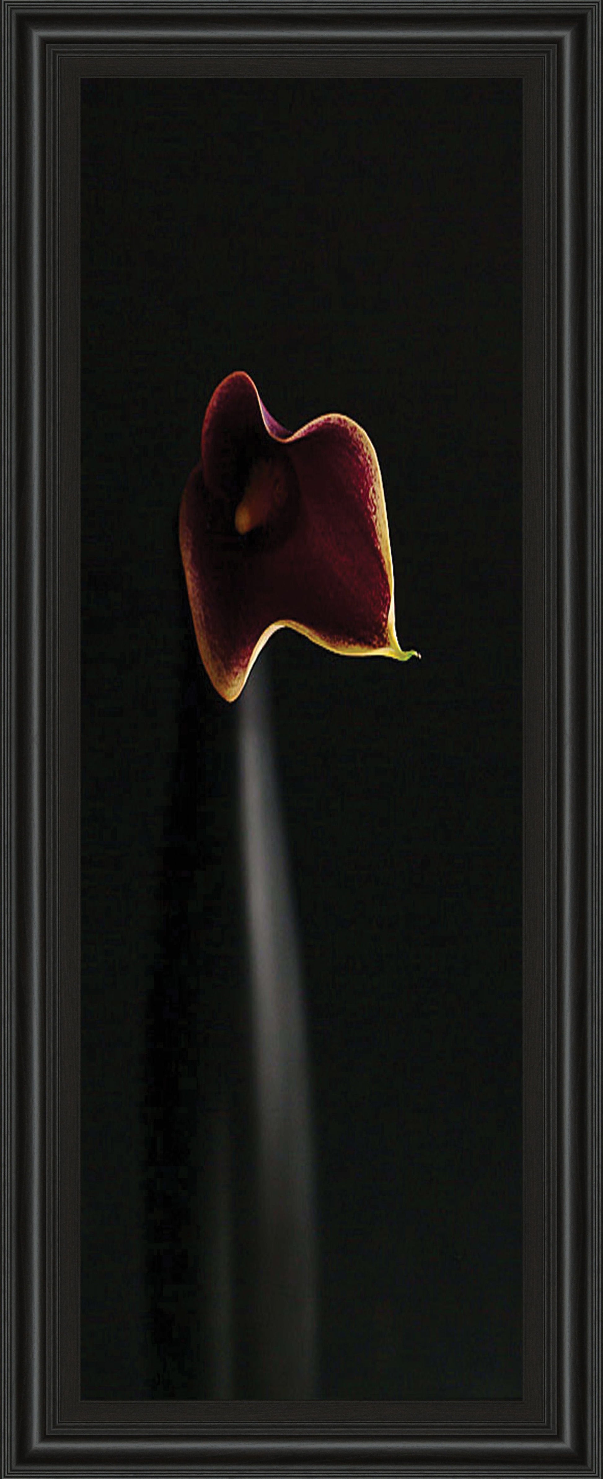 Calla In Ebony By Steven Mitchell - Framed Print Wall Art - Black Classy Art