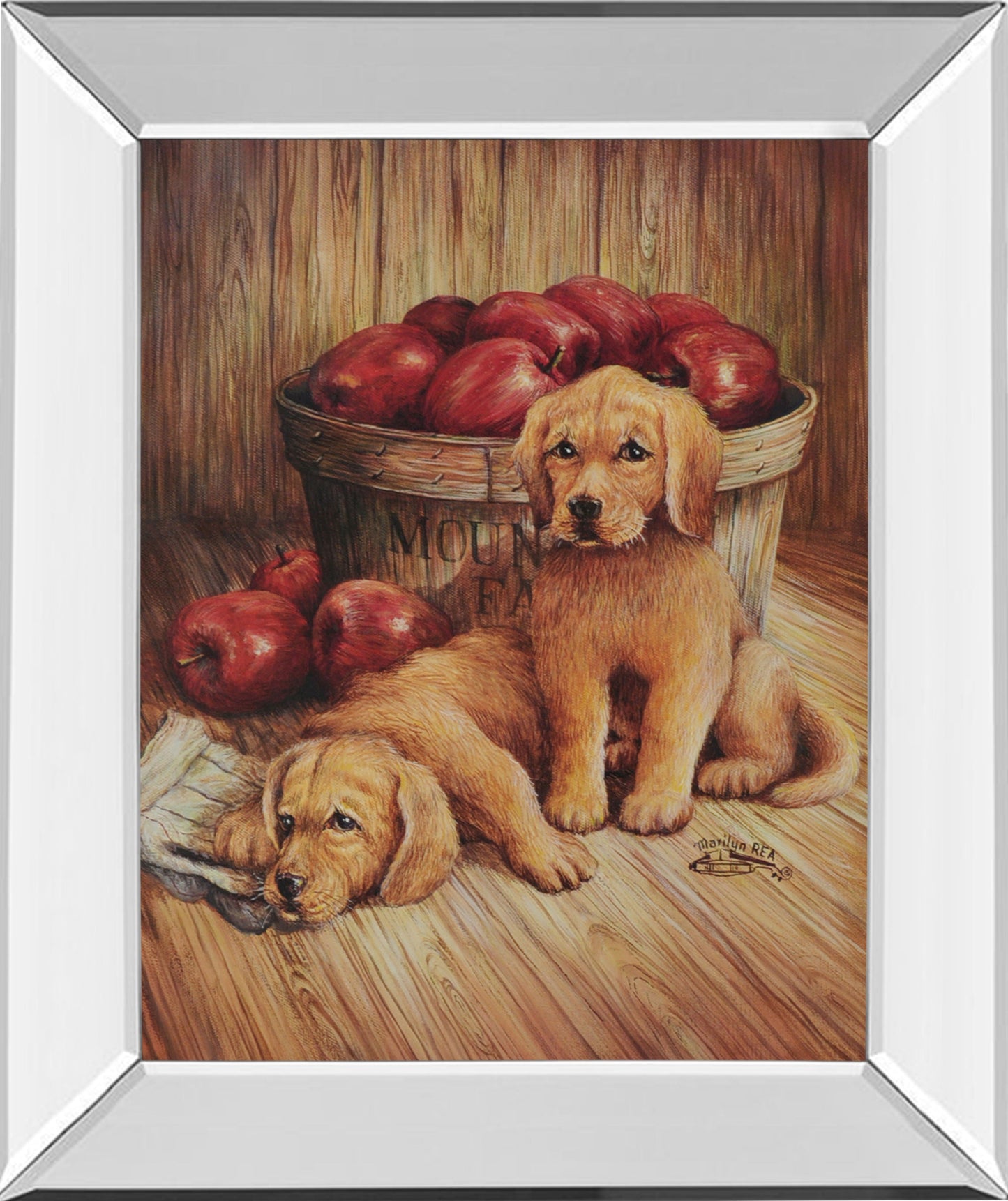 Yellow Labs - Mirror Framed Print Wall Art - Dark Brown Classy Art