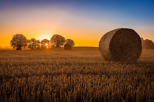 Tempered Glass With Foil - Hay Bale - Light Brown Classy Art