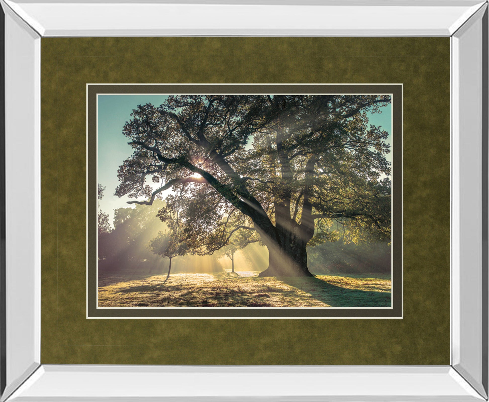 Breaking Through By A. Frank - Mirror Framed Print Wall Art - Green Classy Art