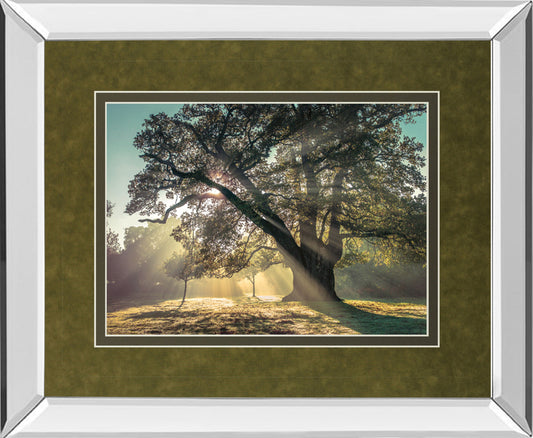 Breaking Through By A. Frank - Mirror Framed Print Wall Art - Green Classy Art