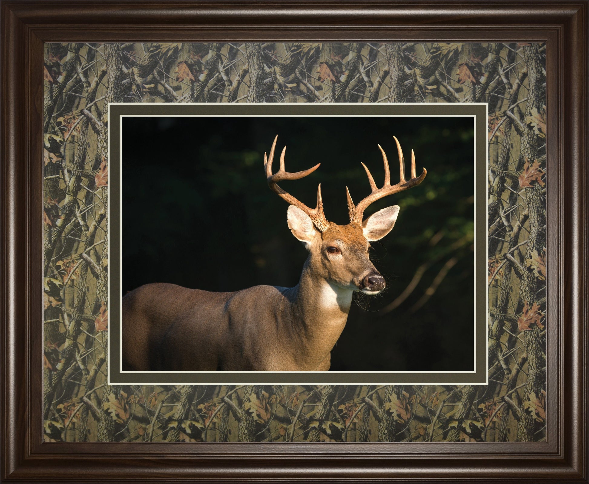 White Tail Buck By Tony Campbell Double Matted - Framed Print Wall Art - Black Classy Art