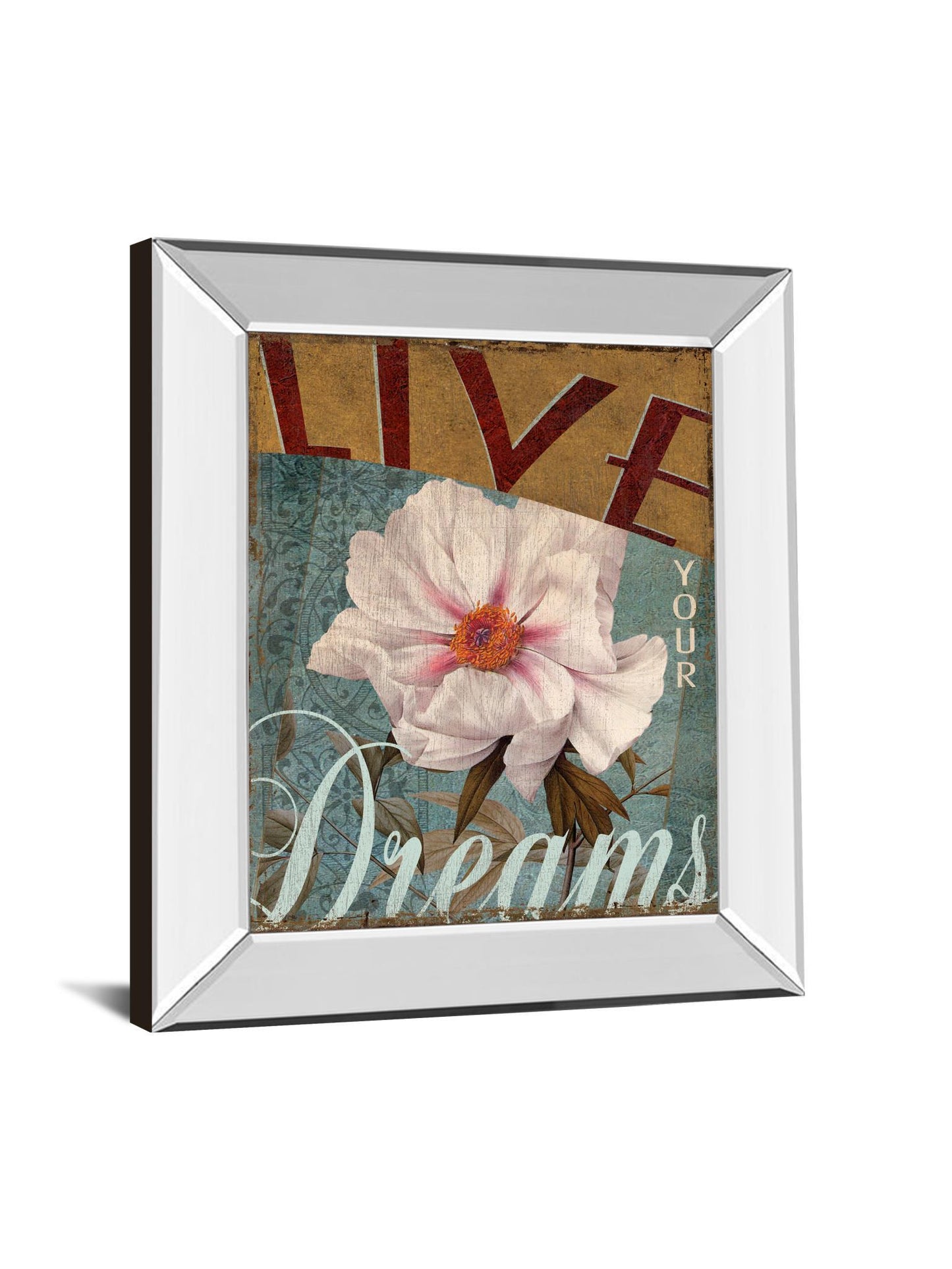 Live Your Dream By Kelly Donovan - Mirror Framed Print Wall Art - Pink Classy Art