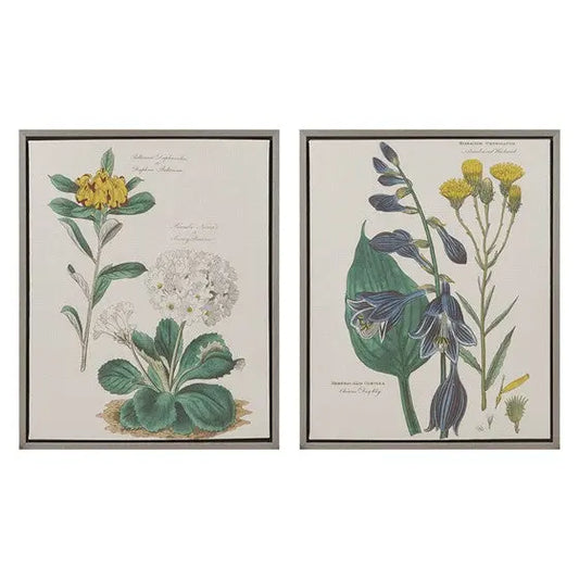 Botanical Illustration 2-piece Framed Canvas Wall Art Set Natural Olliix.com
