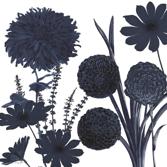 Framed - Blue Shift I By Sophie Six - Black Classy Art