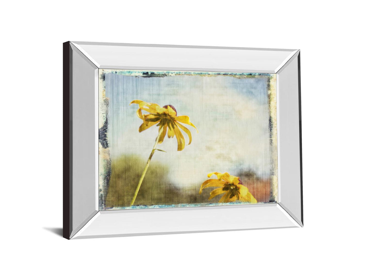 Blackeyed Susan Il By Meghan Mcsweeney - Mirror Framed Print Wall Art - Yellow Classy Art