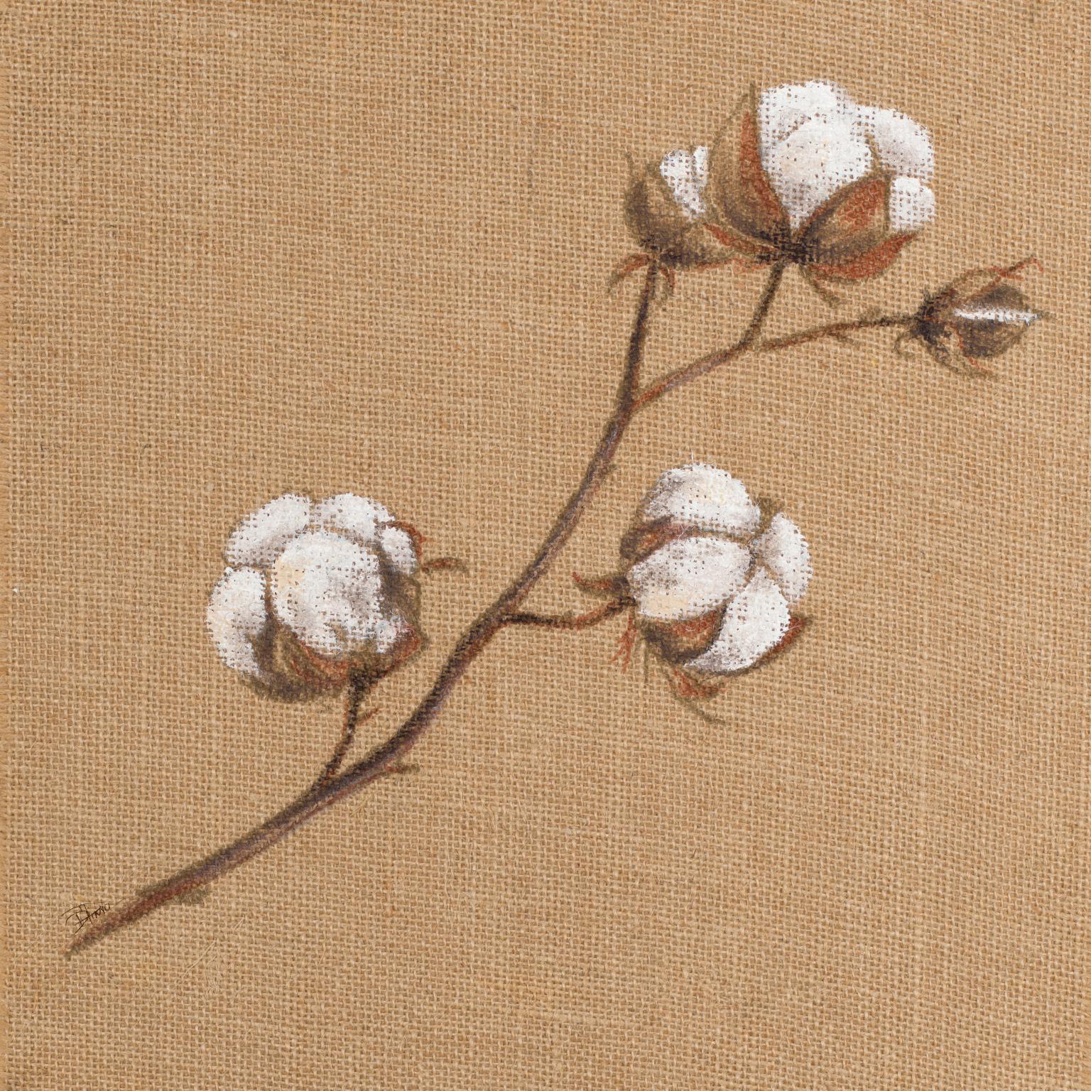 Cotton Branch I By Patricia Pinto - Light Brown Classy Art