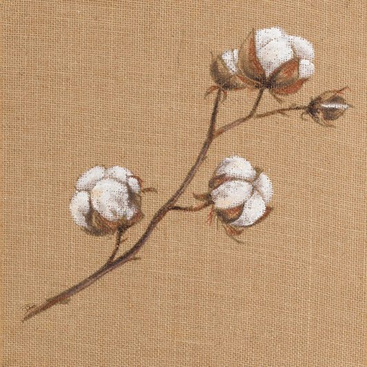 Cotton Branch I By Patricia Pinto - Light Brown Classy Art