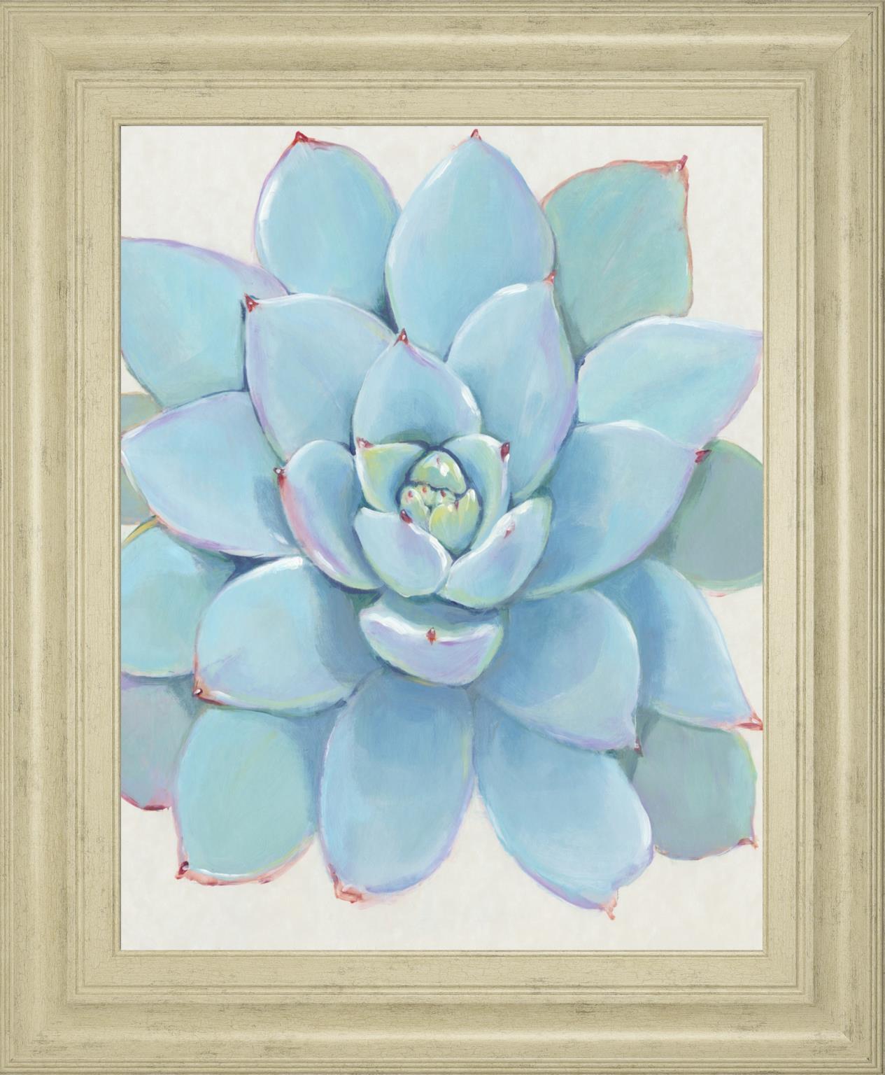 22x26 Pastel Succulent I By Tim OToole - Light Blue Classy Art