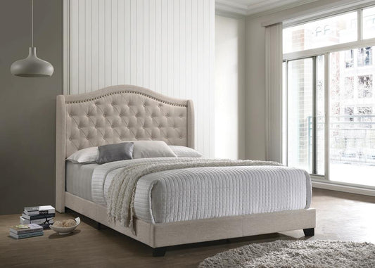 G310073 Queen Bed Coaster Z2 Premium