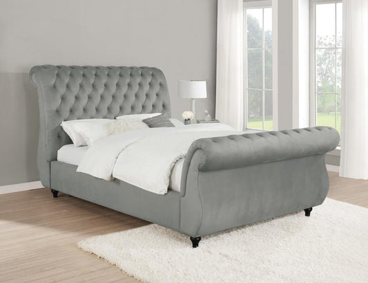 G315921 Queen Bed Coaster Z2 Premium