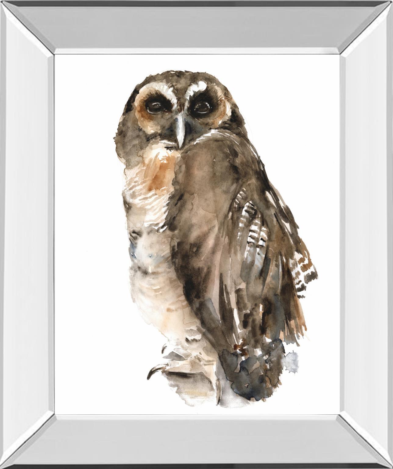 Watercolor Owl I By Jennifer Paxton Parker - Dark Gray Classy Art