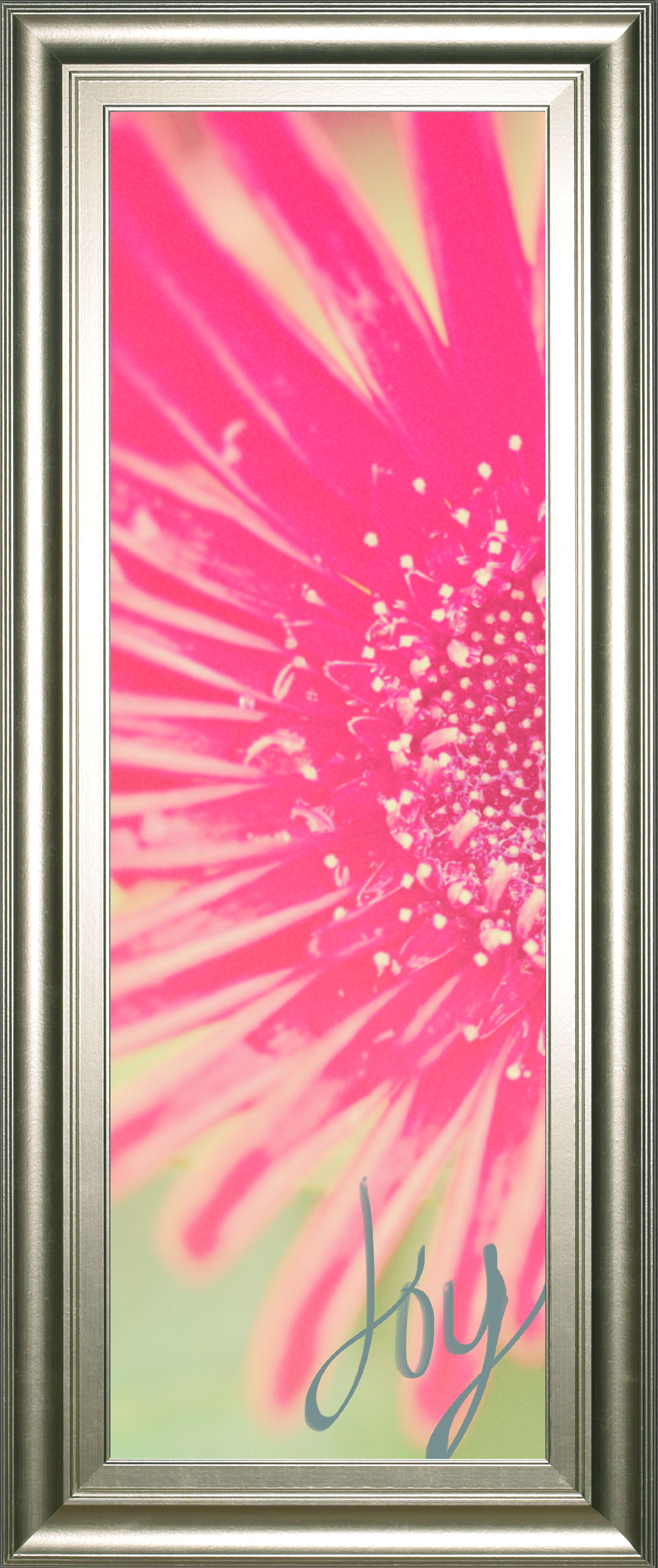 Joy Flower By Susan Bryant - Framed Print Wall Art - Pink Classy Art