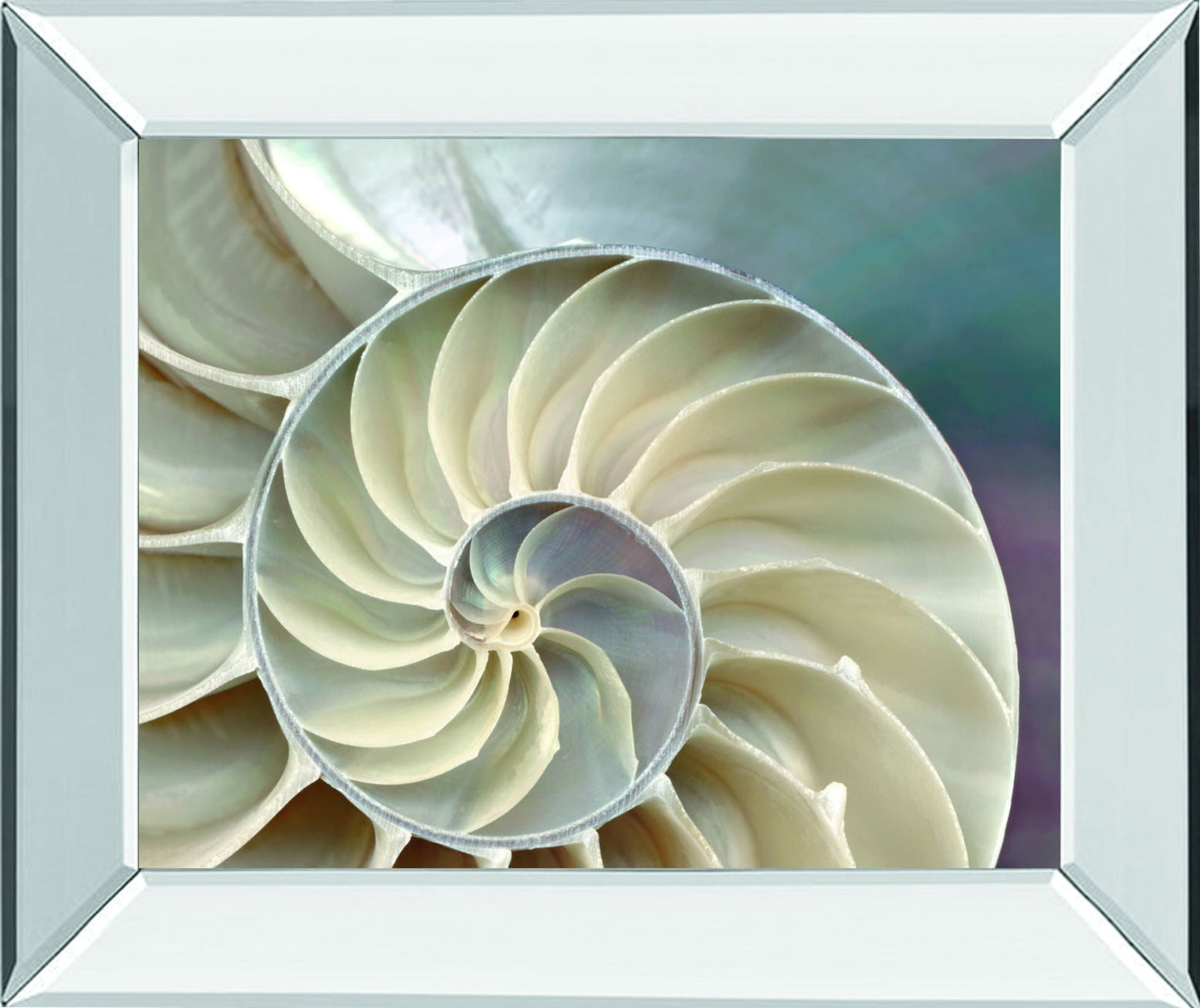 Nautilus By Levine, A. - Mirror Framed Print Wall Art - Beige Classy Art