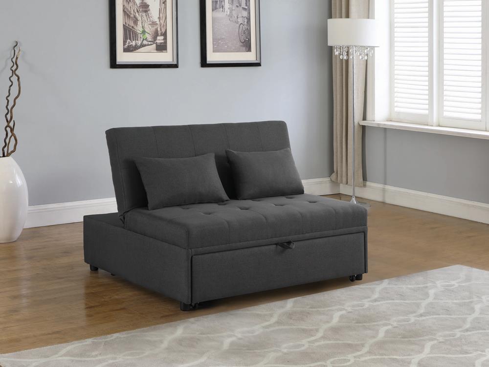 Sleeper Sofa Bed Coaster Z2 Premium