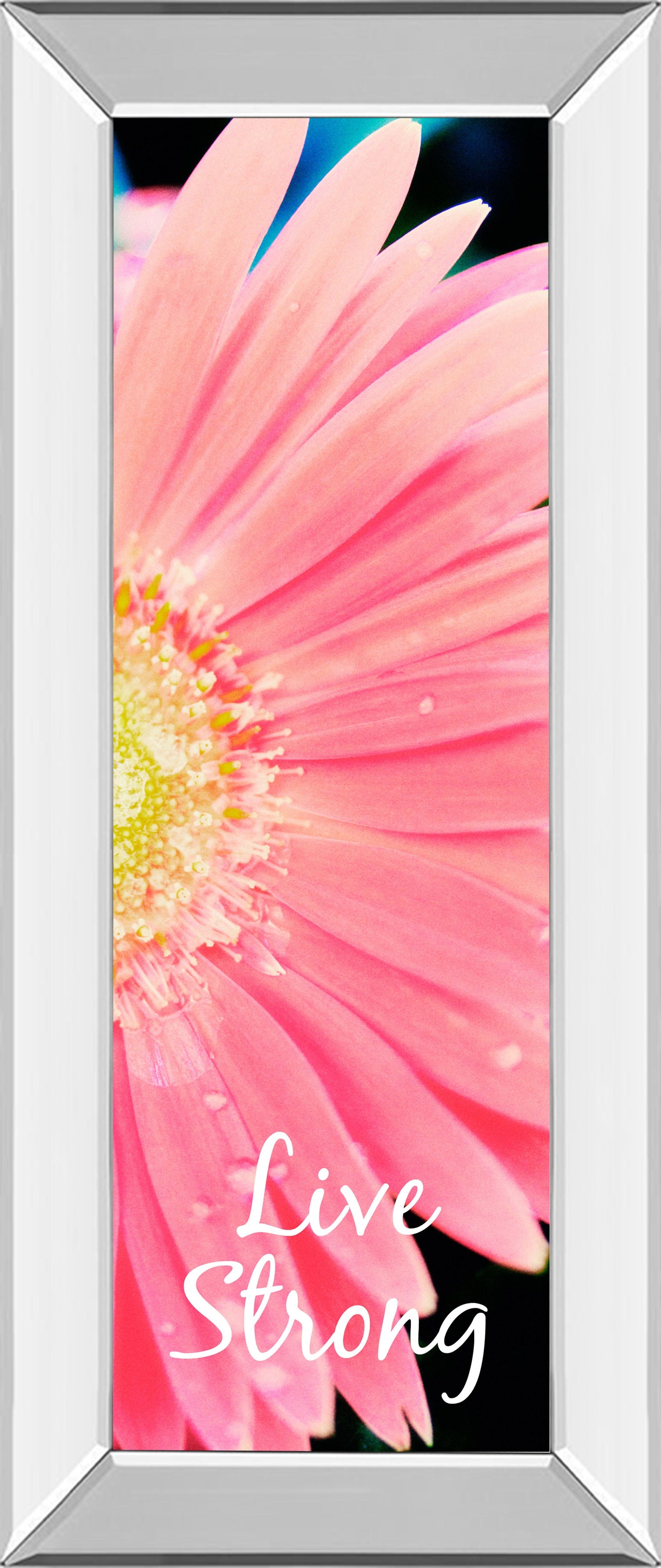 Live Strong Daisy By Susan Bryant - Mirror Framed Print Wall Art - Pink Classy Art