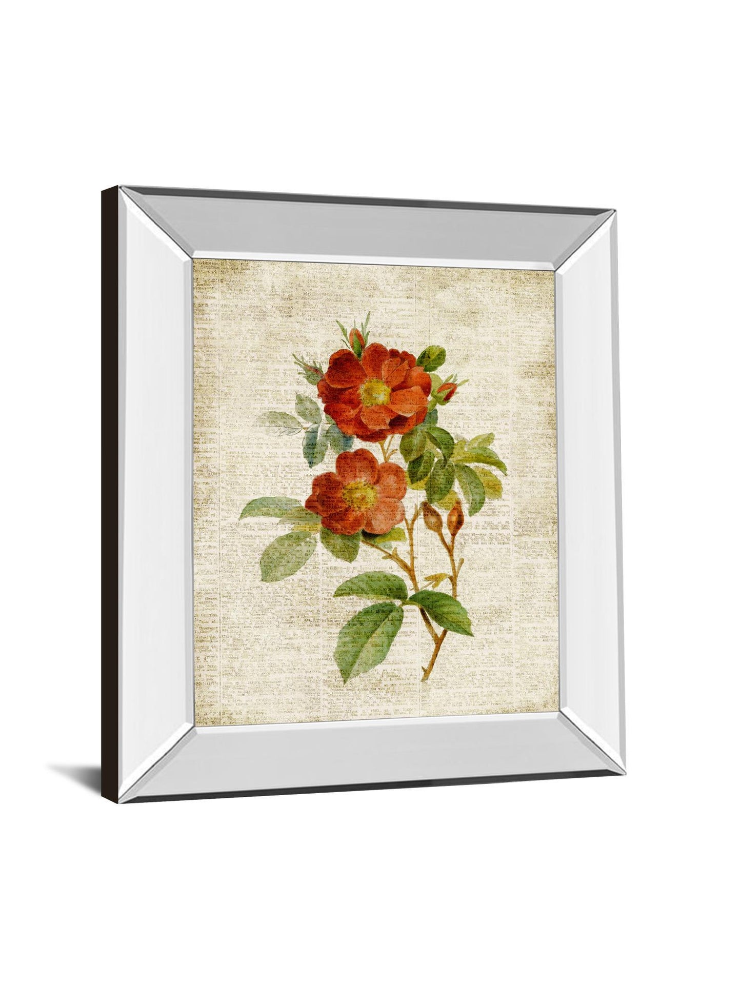 Roses On Newsprint Il By Lanie Loreth - Mirror Framed Print Wall Art - Beige Classy Art