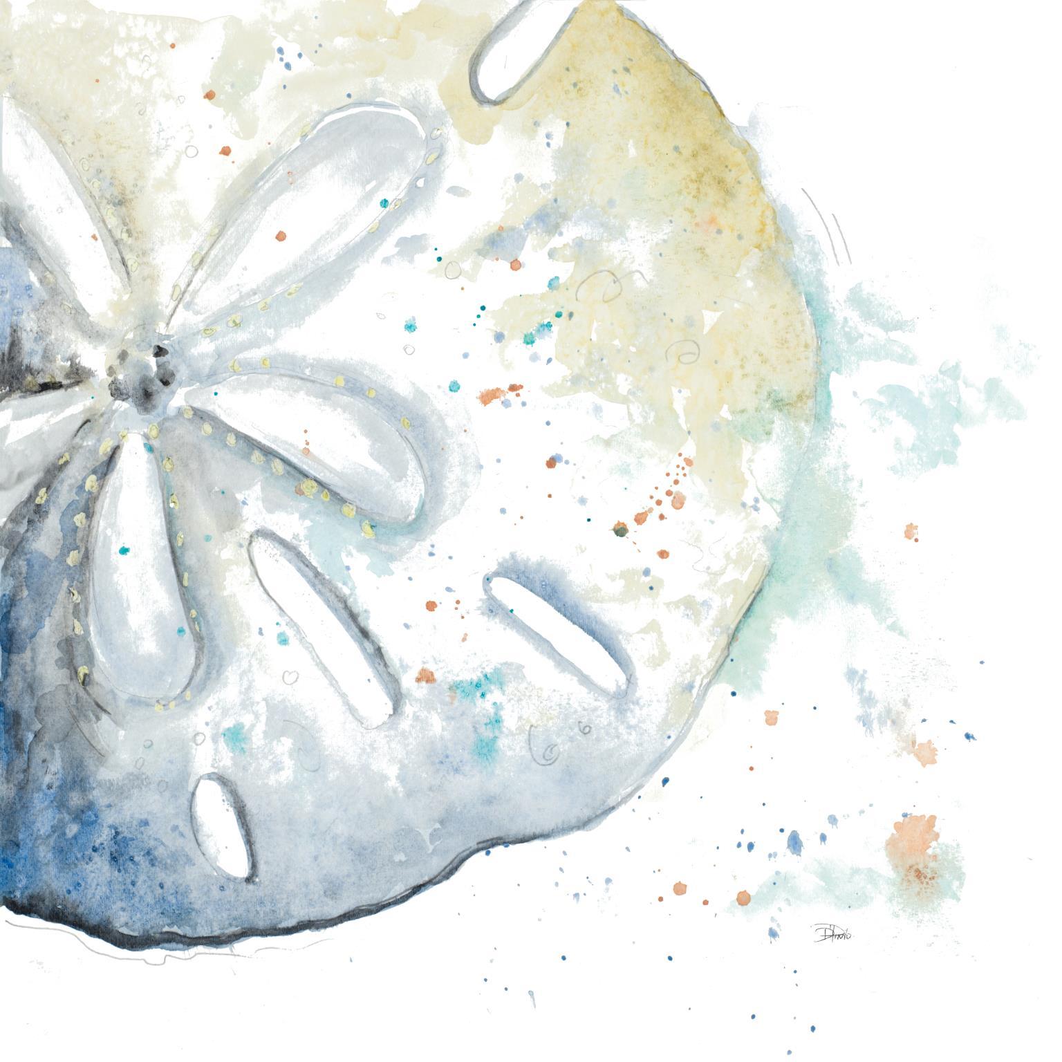 Framed - Water Sand Dollarpatriciapinto - White Classy Art