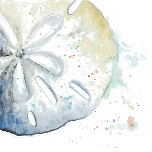 Framed - Water Sand Dollarpatriciapinto - White Classy Art