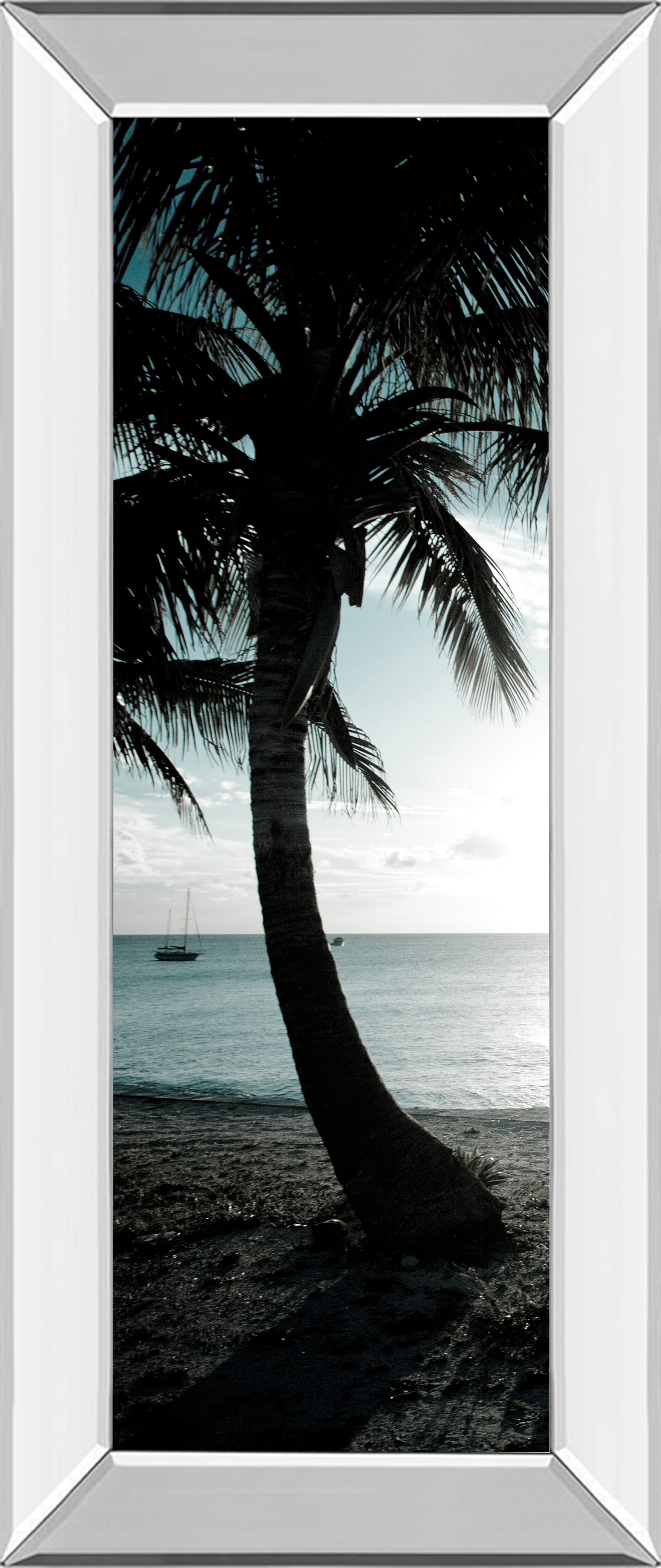 Cool Bimini Palms Il By Susan Bryant - Mirror Framed Print Wall Art - Black Classy Art