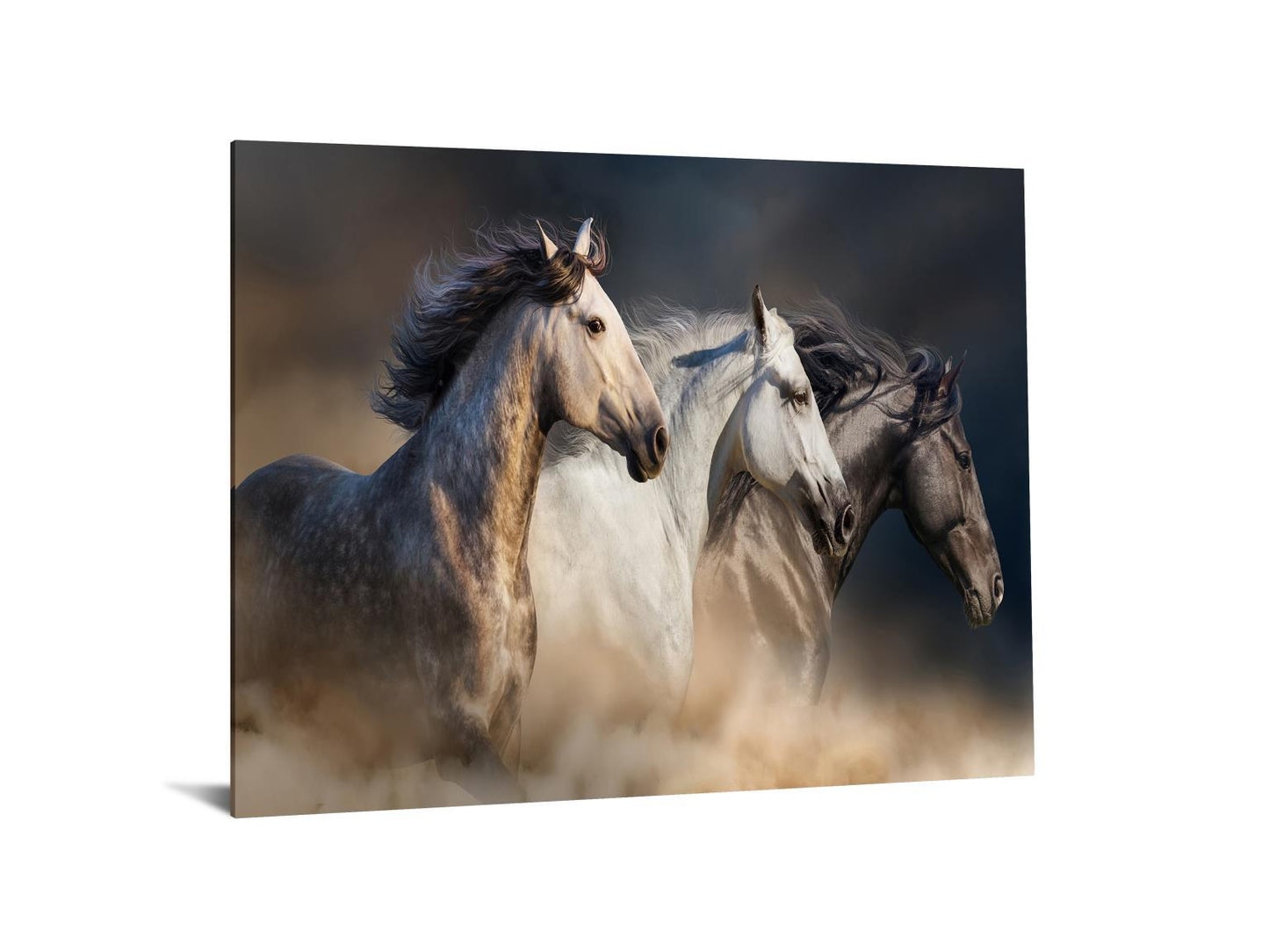 Temp Glass With Foil - 3 Horse - Dark Gray Classy Art