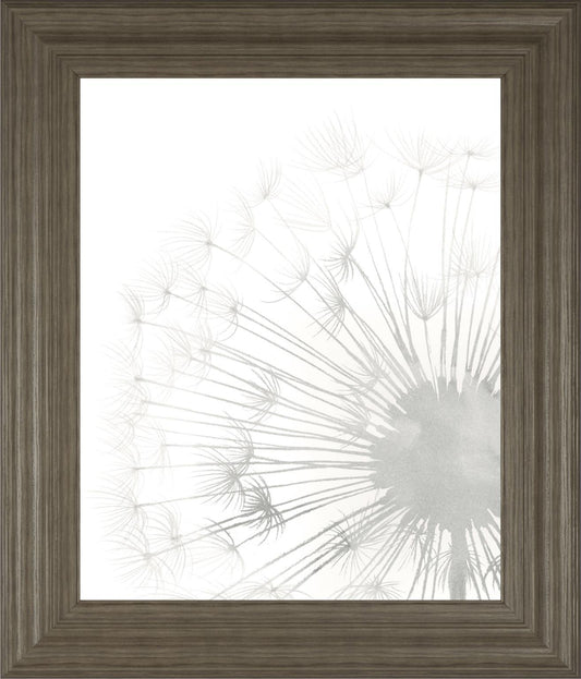 22x26 Dandelion Whisper II By Grace Popp - Pearl Silver Classy Art