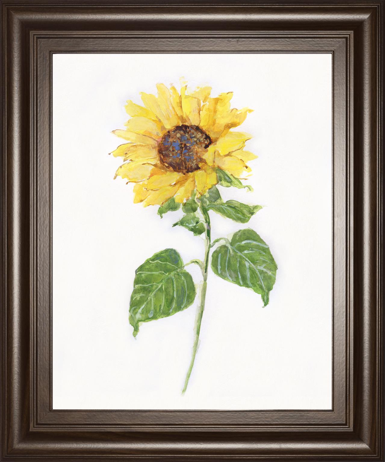 22x26 Sunflower II By Sally Swatland - Yellow Classy Art