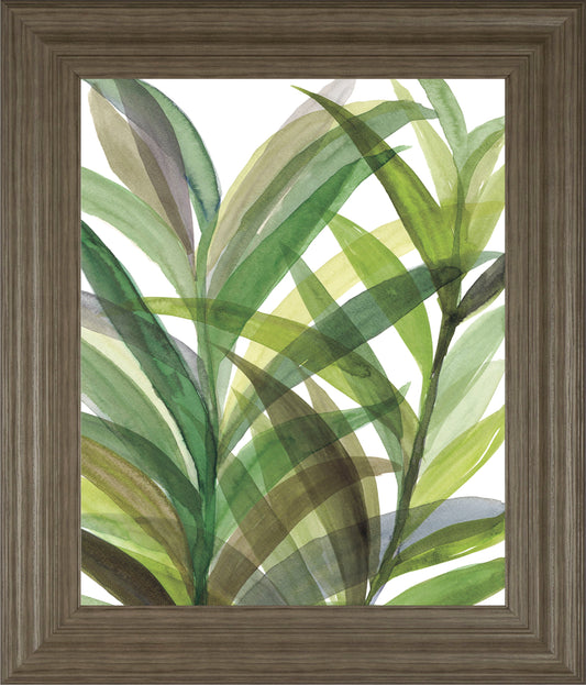 Tropical Greens Il By Rebecca Meyers - Framed Print Wall Art - Green Classy Art