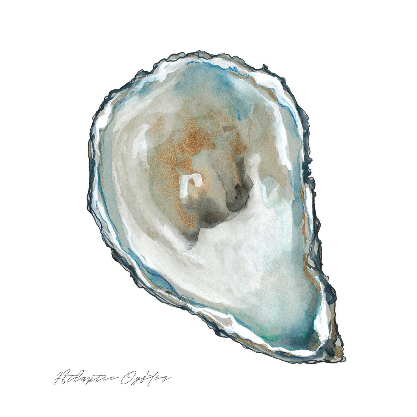 Small - Atlantic Oyster By Carol Robinson - Blue Classy Art