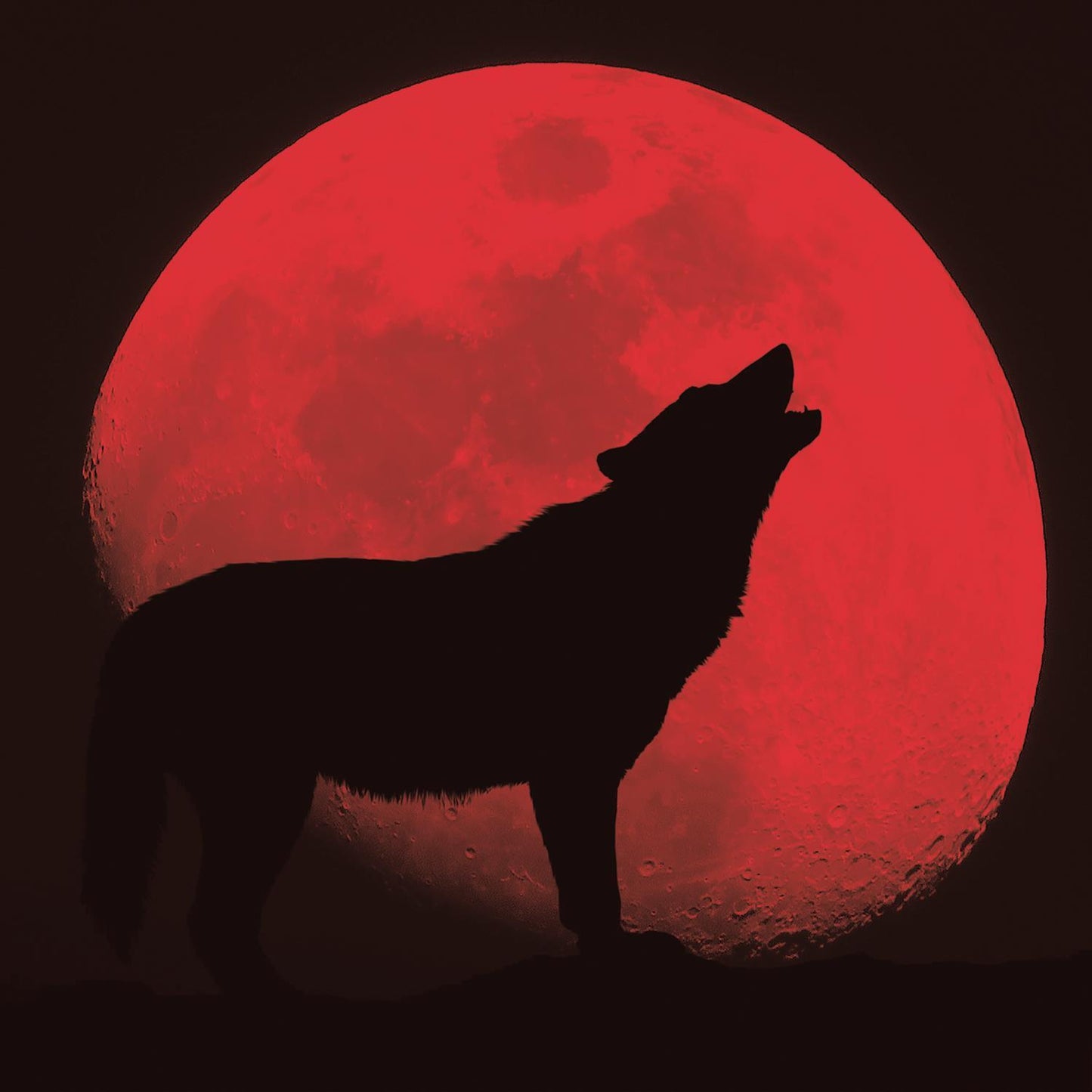 Red Wolf By Classy Art - Red Classy Art