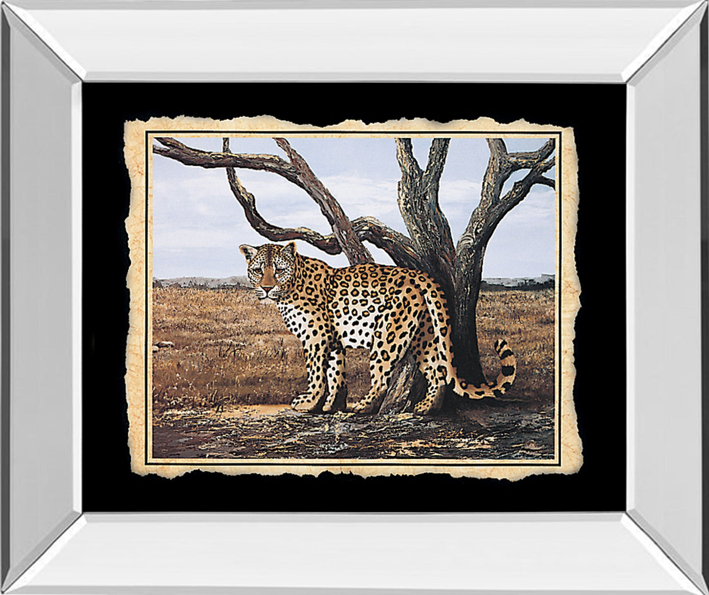 Cheetah - Mirror Framed Print Wall Art - Beige Classy Art