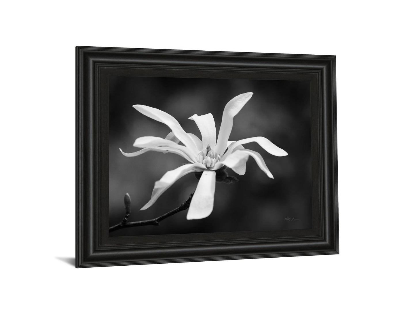 Magnolia Dreams I By Geyman Vitaly - Framed Print Wall Art - White Classy Art