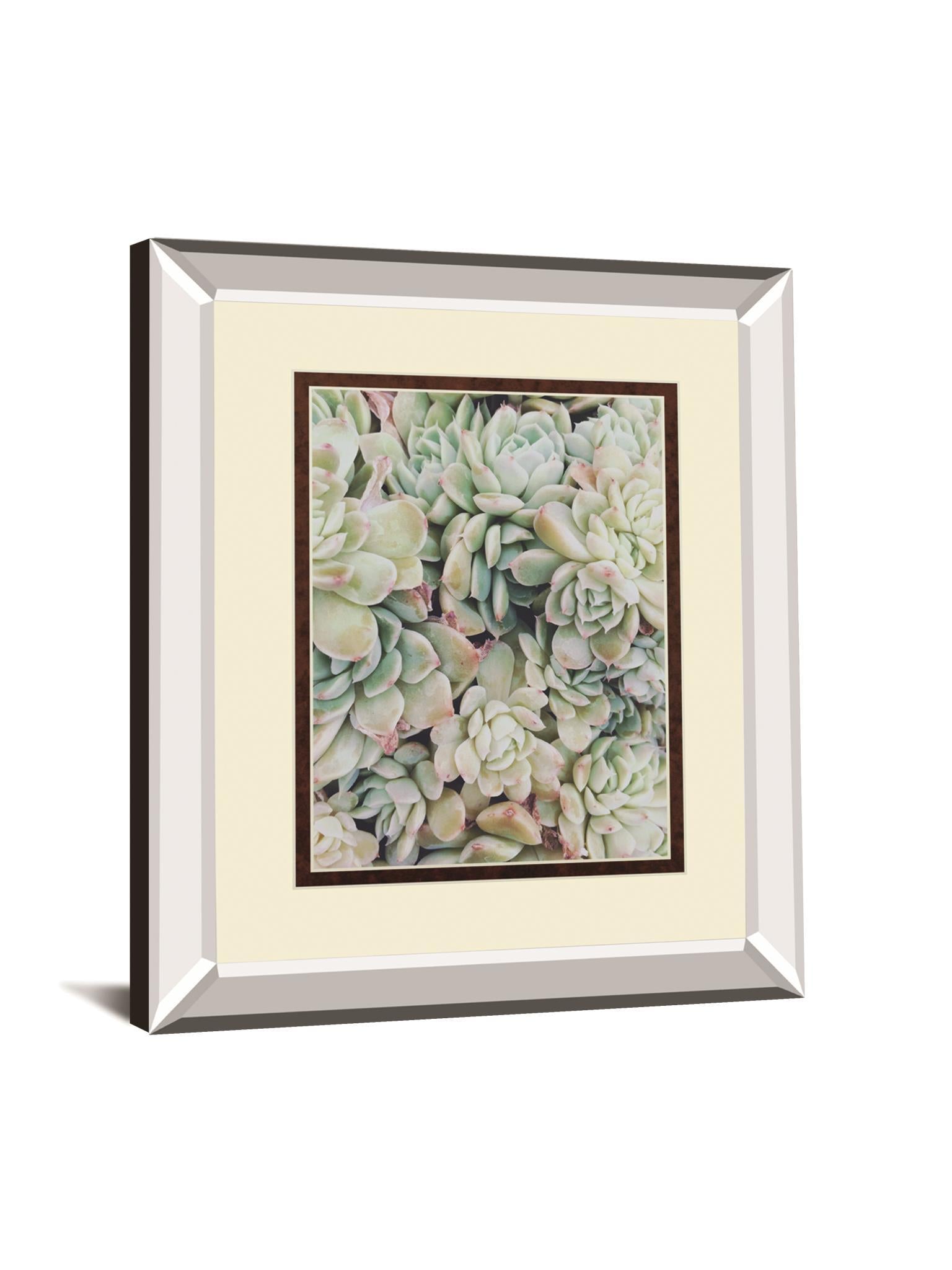 Translucent Succulents By Chelsea Kedron Mirrored Frame - Green Classy Art